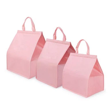 फ़ोल्ड करने योग्य इंसुलेटेड गैर बुना लंच बैग